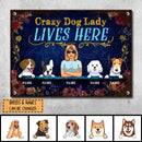 Pawzity Funny Warning Signs, Gifts For Dog Lovers, Crazy Dog Lady Lives Here, Welcome Metal Signs, Dog Mom With Her Dogs