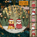 Christmas Night Light - Personalized Cat Christmas Ornament