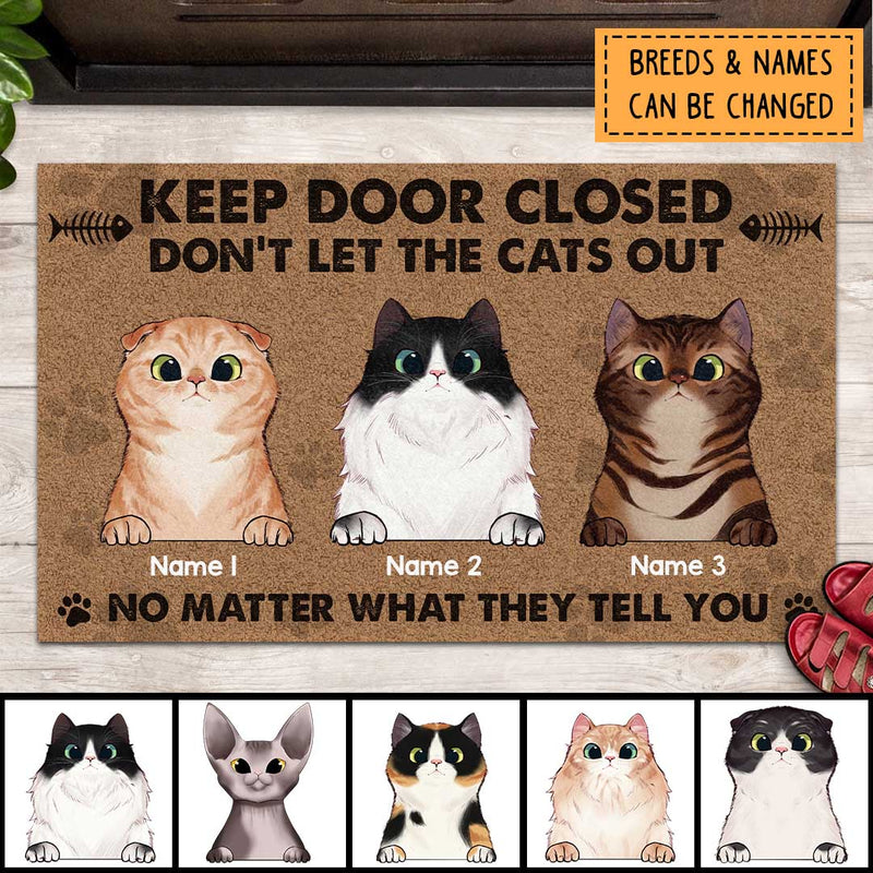 Pawzity Front Door Mat, Gifts For Cat Lovers, Keep Door Closed Don't Let The Cats Out No Matter What They Tell