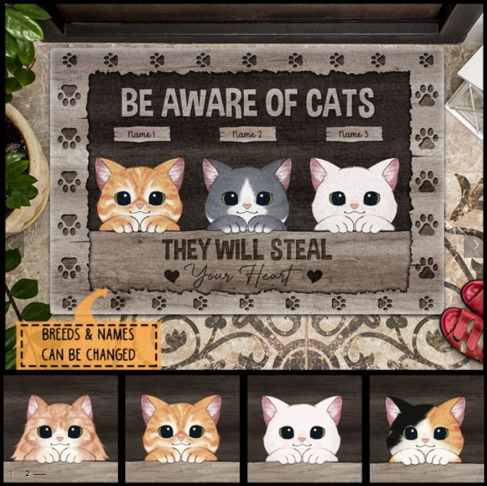 Pawzity Custom Mat, Gifts For Cat Lovers,  Be Aware Of Cats They Will Steal Your Heart Outdoor Door Mat