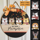 Pawzity Fall Welcome Door Signs, Fall Gifts For Cat Lovers, Hey There Pumpkin , Cat Mom Gifts