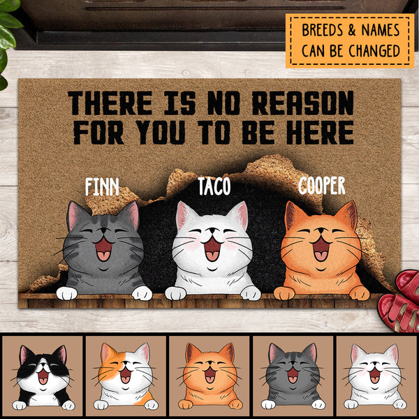 Pawzity Personalized Doormat, Gifts For Cat Lovers, There Is No Reason For You To Be Here Outdoor Door Mat