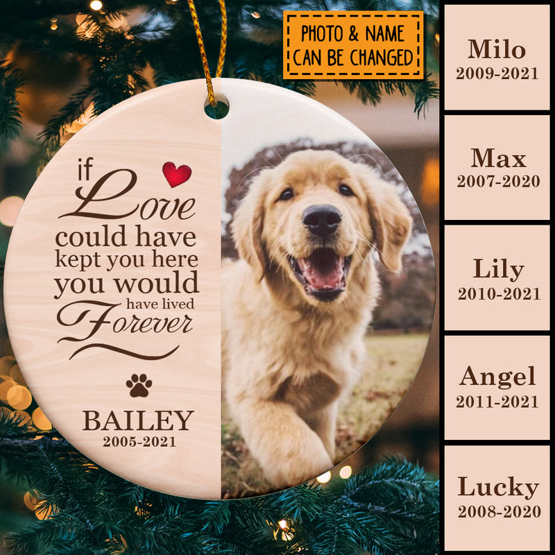 If Love Could Have Kept You Here, Pet Memorial Keepsake, Personalized Pet Photo Circle Ceramic Ornament, Pet Loss Gifts