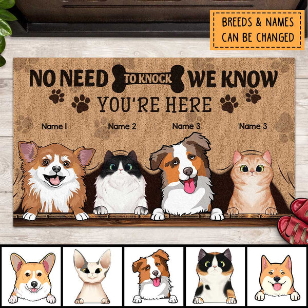 Pawzity No Need To Knock Front Door Matt, Gifts For Pet Lovers, We Know You Are Here Personalized Doorma