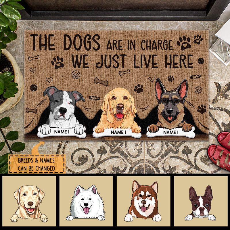 Pawzity Personalized Doormat, Gifts For Dog Lovers, The Dog Is In Charge We Just Live Here Outdoor Door Mat
