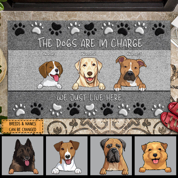 Pawzity Custom Doormat, Gifts For Dog Lovers, The Dog Is In Charge We Just Live Here Gray Front Door Mat