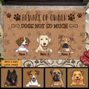 Pawzity Funny Welcome Mat, Gifts For Dog Lovers, Beware Of Owner Dogs Not So Much Outdoor Door Mat