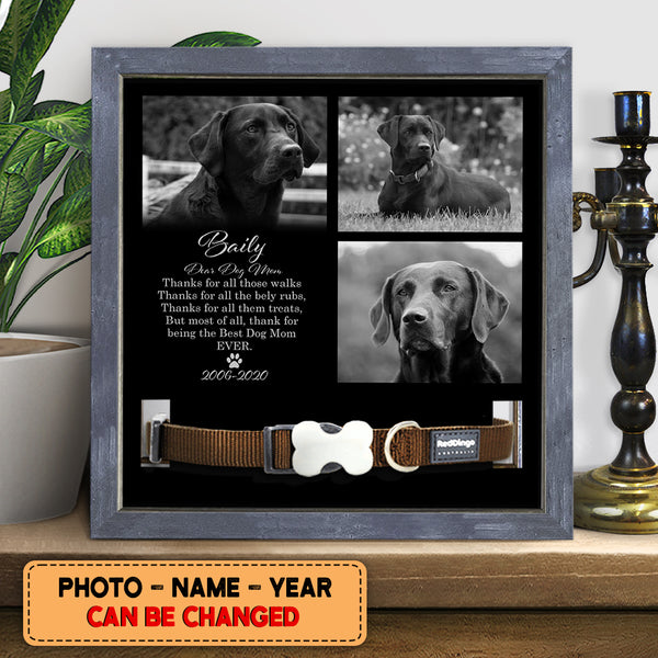 Thanks For All Those Walks, Dog Memorial Keepsake, Personalized Dog Photo Collar Holder, Gifts For Loss Of Dog