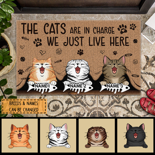 Pawzity Personalized Doormat, Gifts For Cat Lovers, The Cat Is In Charge We Just Live Here Outdoor Door Mat